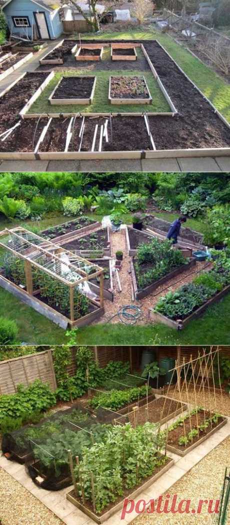 (13) Pinterest - The Secrets to Growing a Vegetable Garden in Small Space #garden_landscaping_layout | Садовые идеи