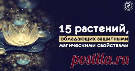 15 растений, обладающих защитными магическими свойствами 

С давних времен растения являлись не только пищей и украшением приусадебных участков, но и защитниками от воздействия нечистой силы и разного рода негатива. Специалисты уверены, что используя некото…