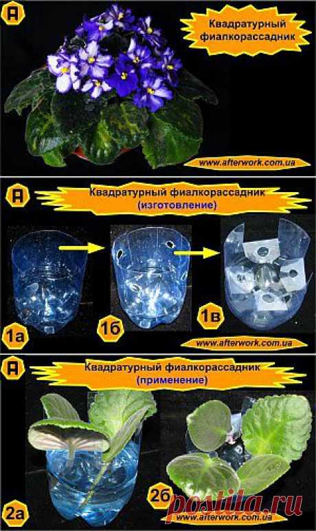 Квадратурный фиалкорассадник | Творим После Работы