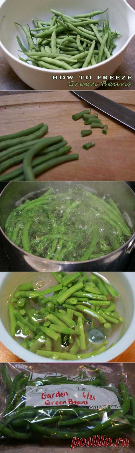 How to Freeze Green Beans