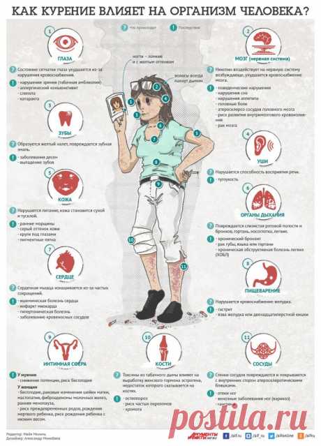 Как  влияет на организм. Новые правила с 01 июня | Мамам, женщинам, бабушкам и очень любознательным.