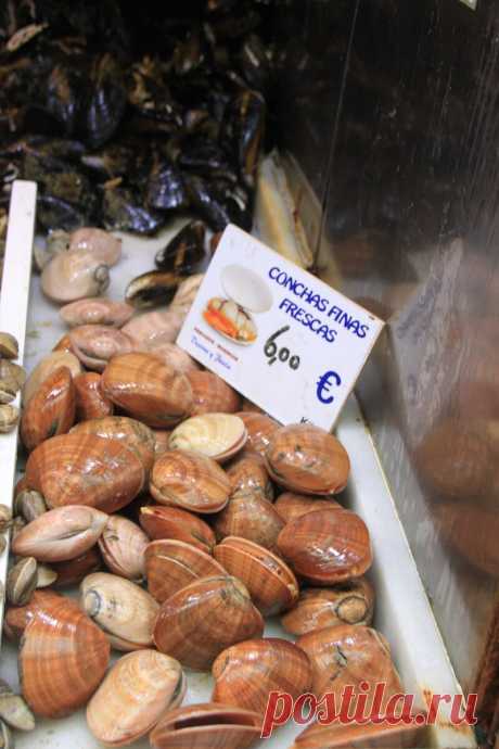 Что интересного продают на рыбном рынке в Малаге | Соло-путешествия | Яндекс Дзен