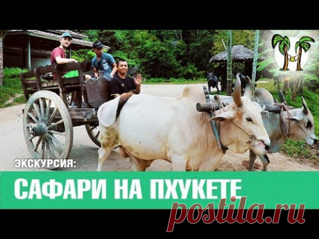 Пхукет &gt;&gt; Экскурсии | цены | отзывы | фото | видео | сафари на Пхукете