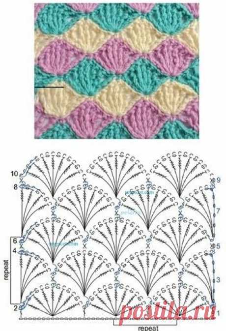 Узор "ракушка" для любого случая (много схем) | Южная сова | Яндекс Дзен
