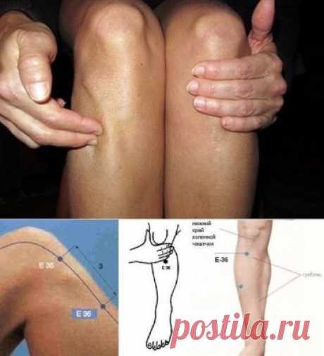 Точка долголетия от ста болезней (Цзу-сан-ли, Е 36)
Не забывайте каждое новолуние поворачивать свои биологические часы вспять, естественно омолаживая организм.
Ничего особенного для этого не нужно!
- Положите ладонь на свое колено.
- Под четвертым пальцем вы почувствуете ямку между костями ноги. Это и будет наша искомая точка долголетия.
* Эту точку можно прогревать теплым феном в течение 1-3 мин. до появления небольшого покраснения, главное, не получить термического ожога. На каждой ноге пр