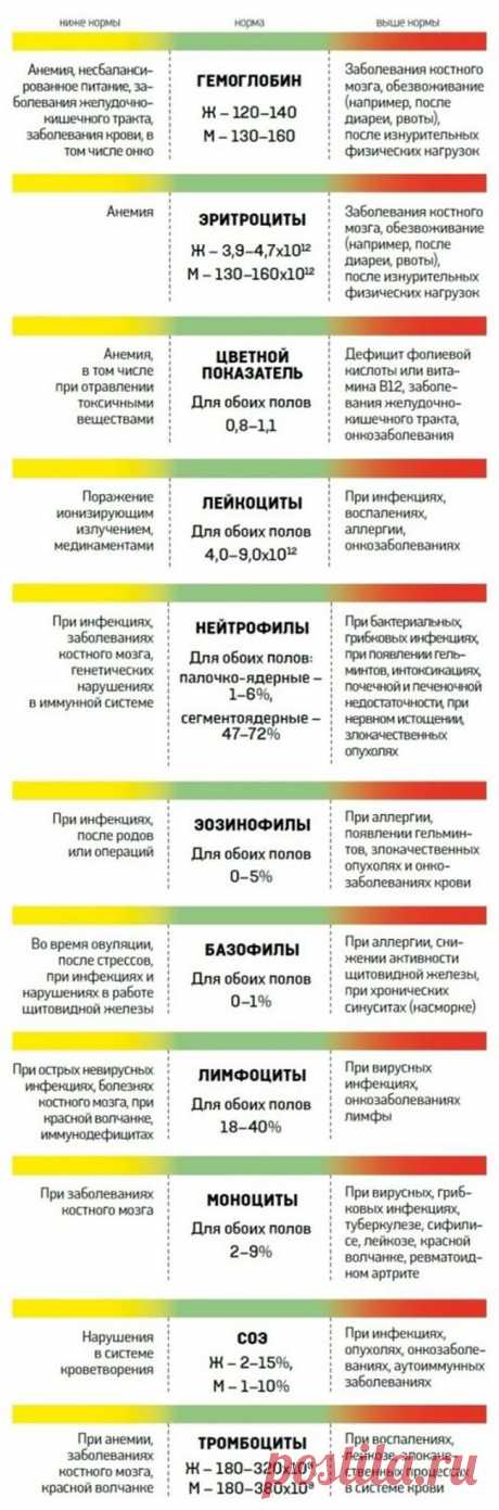 Как самостоятельно расшифровать анализ крови! Очень полезно знать, о чем же нам говорит уровень гемоглобина, лейкоцитов или эритроцитов в крови | Узнал сам - расскажи другому.