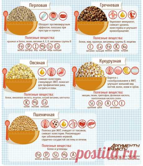 ВСЁ о кашах! Чем полезны и как правильно готовить? » MAKATAKA