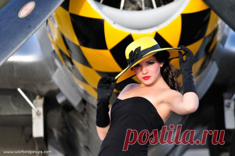 Pin- Up Wings