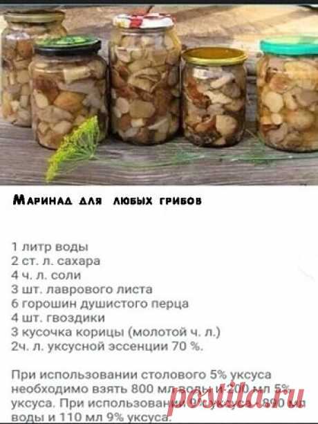 маринад для любых грибов