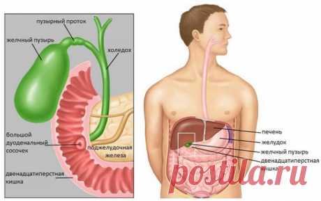 Глаза и ногти - зеркало состояния печени и желчного пузыря 
ПЕЧЕНЬ и ЖЕЛЧНЫЙ ПУЗЫРЬ: о проблемах расскажут глаза и эмоции
В системе пищеварения человека одну из важнейших ролей играют печень и желчный пузырь. В частности, они отвечают за очистку крови от токс…