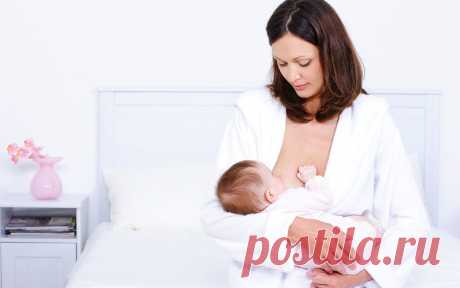 9 фактов, которых вы не знали о грудном молоке - Статьи - 1 месяц - 6 месяцев - Дети Mail.Ru