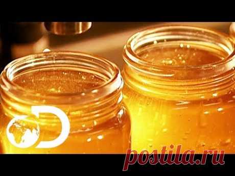 🔴HONEY | How It's Made