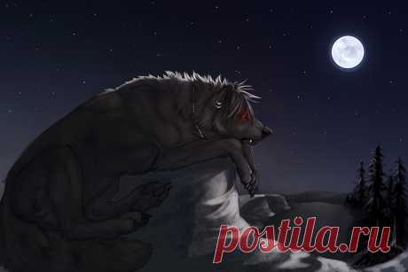 Картинка Волки Фантастика Луна Ночь Волшебные животные