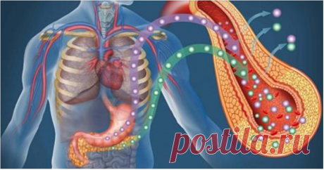 Как быстро улучшить работу поджелудочной железы и избавиться от панкреатита!