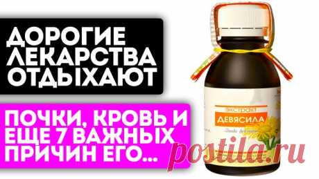 Пью девясил и оживаю! Суставы не болят, кровь стала жидкой, давление упало... Девясил 00:00 Содержание
00:28 Какими свойствами обладает девясил? 
02:32 Как можно использовать растение для лечения? 
04:02 Когда следует проявить осторожность в применении?  

Смотрите видео до конца, узнаете о силе и возможностях девясила! 

Канал не является медицинским. Все рекомендации должны быть согласованы с лечащим врачом.