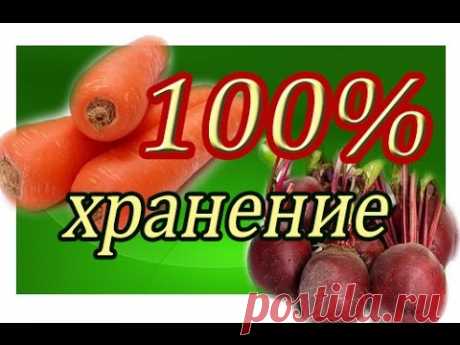 ХРАНЕНИЕ МОРКОВИ И СВЕКЛЫ 100%