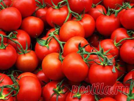 томатные хитрости