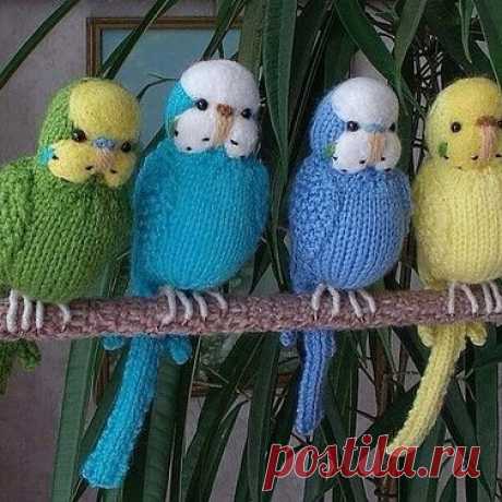 Вязаные попугайчики - идея. Почти как настоящие!))
#идеивязания #вязание