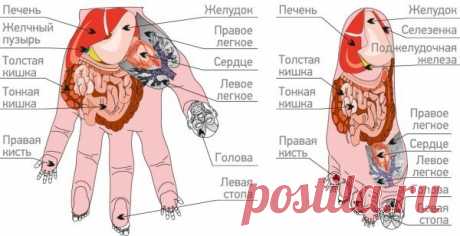 Су-джок-терапия: метод реанимации