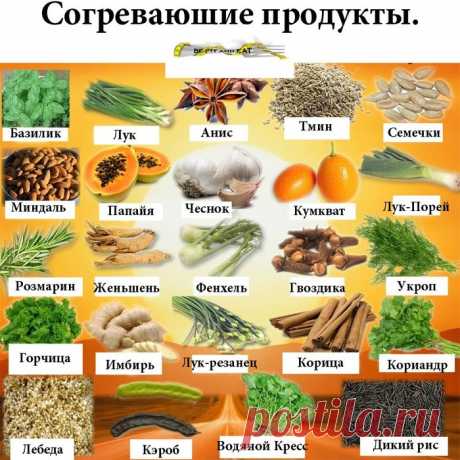 Какие продукты согревают нас, а какие охлаждают?