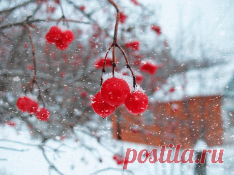 Udi.T.A. — «Снежная зима!» на Яндекс.Фотках