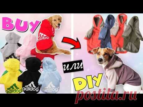 BUY или DIY? | Тёплая толстовка для собаки своими руками + подробная выкройка - YouTube