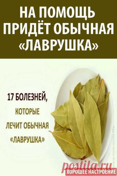 #здоровье #лаврушка #польза #сосуды #воспаление