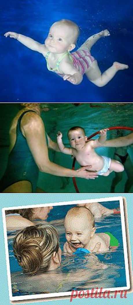 Плавание младенцев — полезно и увлекательно (видео) / Малютка