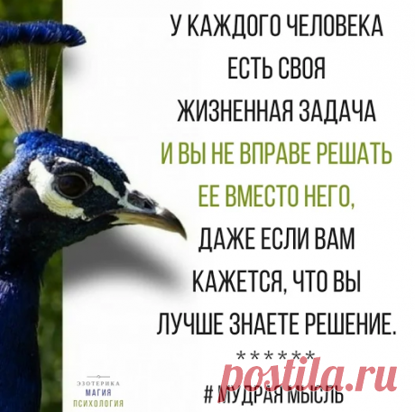 Елена Сергиенко - Google+