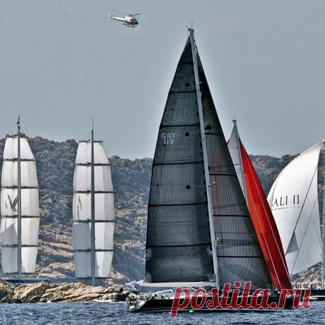 iYachtDesign в Instagram: «PERINI NAVI CUP 2015 🏆 COMING SOON @perininaviofficial»