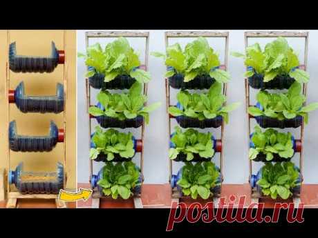 Amazing Vertical Garden from Plastic Bottles, Growing Vegetables at Home - YouTube