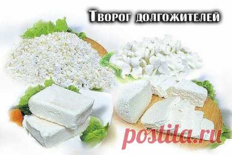 ТВОРОГ ДОЛГОЖИТЕЛЕЙ