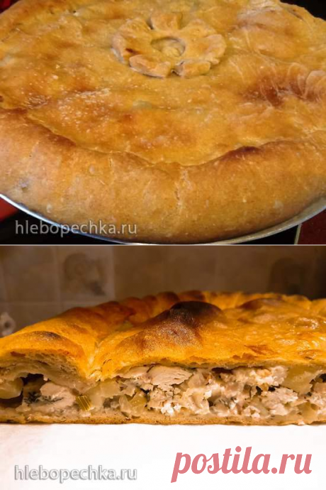 Сочный куриный пирог на ржано-пшеничном тесте или любом по вашему выбору (духовка или пиццапечь Принцесс) - рецепт с фото на Хлебопечка.ру