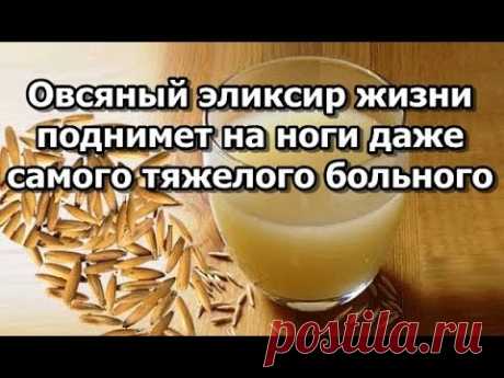 Овсяный эликсир жизни: поднимет на ноги даже самого тяжелого больного | Женские темы