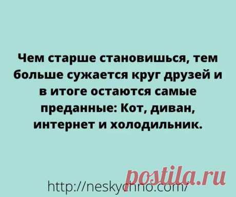 (28) Короткие смешные анекдоты, которые гарантировано поднимают настроение - Сказка для двоих - 21 февраля - 43265381676 - Медиаплатформа МирТесен