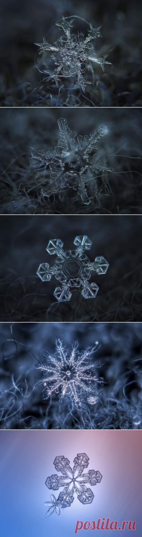 Тайная жизнь снежинки: удивительные макроснимки - Ярмарка Мастеров - ручная работа, handmade