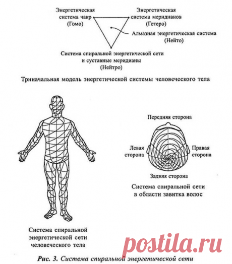 Спиральная гимнастика — удивительное оздоровление всего организма