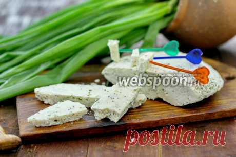 Адыгейский сыр в домашних условиях рецепт с фото, как приготовить адыгейский сыр дома на Webspoon.ru