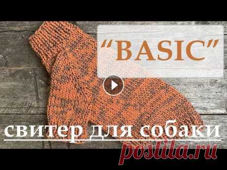 Свитер "BASIC" для собаки Для вязания свитера потребуются: - спицы 4 мм чулочные - дополнительная спица для снятия петель - 1 моток пряжи из Троицка "Ванда" (расход 9...