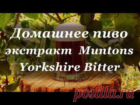 Домашнее пиво, экстракт  Muntons Yorkshire Bitter
