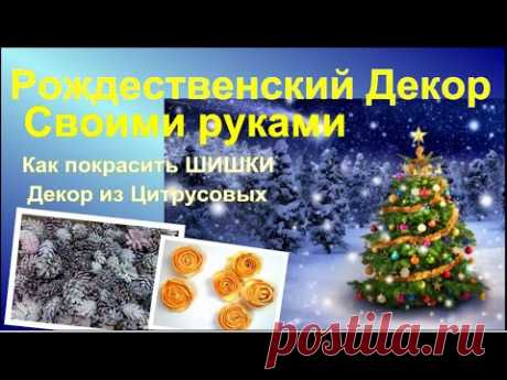 Как покрасить Шишки Несколько Вариантов. Декор из Цитрусовых. DIY Happy New Year. Christmas holiday