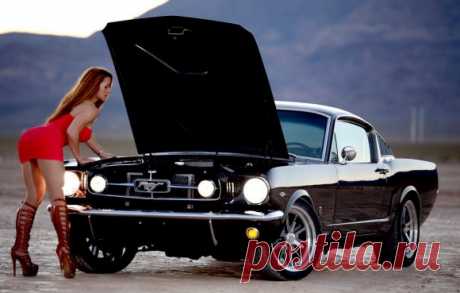 Beautiful Chicks and the Ford Mustang
