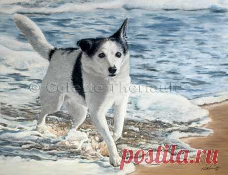 Собака смешанной породы Pet Portrait Pastel Painting-Custom Dog and Animal Artwork by Colette Theriault