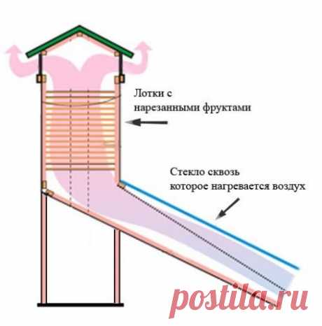 Солнечный дегидратор: сушилка для плодов на солнечной энергии — Полезные советы