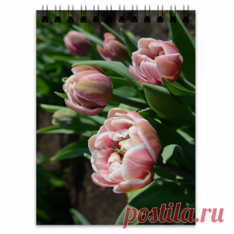 Блокнот Тюльпаны #564056 в Москве, цена 300 руб.: купить блокнот с принтом от Anstey в интернет-магазине