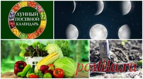 Лунный посевной календарь на 2021 год для огородника и садовода Для Вас лунный посевной календарь для огородников, садоводов, дачников на 2021 год с фазами луны. Таблицы по месяцам с благоприятными днями.