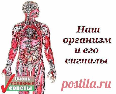 Вот такую ПАМЯТКУ надо иметь у себя под рукой

●Наш организм и его сигналы.●

Врачи уверены, что в нашем организме «вдруг» ничего не бывает. И даже малейшие изменения в нашей внешности утром говорят о том, что со здоровьем что-то пошло не так… Мало кто из нас подвергается регулярному медосмотру. Но предупредительные сигналы организма о начинающихся неполадках мы можем рассмотреть сами на открытых участках собственного тела.

•●• Потрескавшиеся губы Если наряду с трещинками...