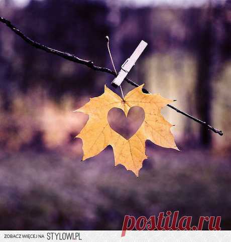 Autumn heart