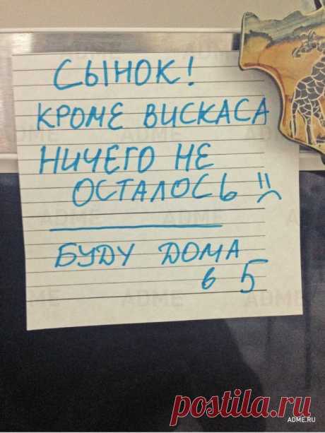 20 записок на холодильнике от родных и близких