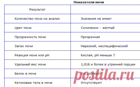 Расшифровка общего анализа мочи